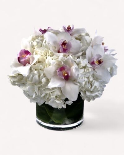 Pure Blossoms