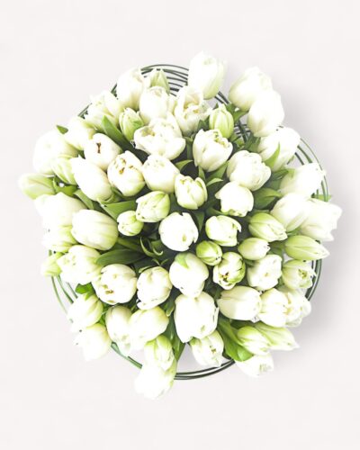 Classic Simplicity - Image 2
