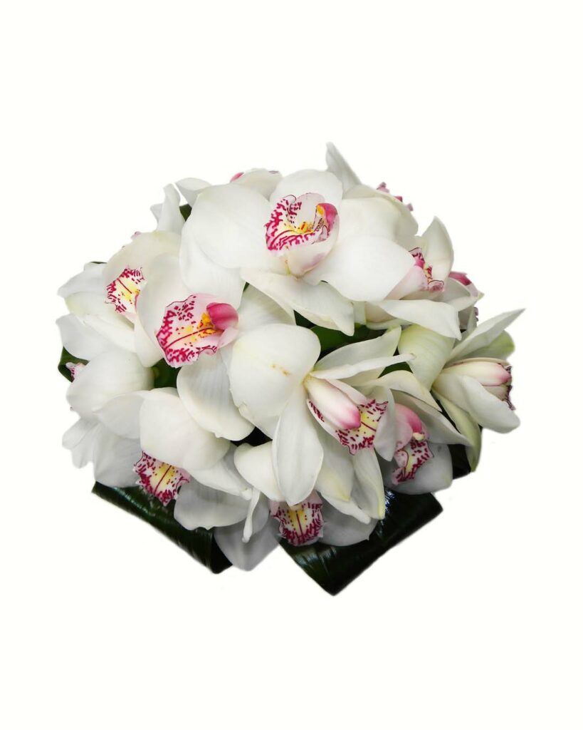 Blushing Orchids Ariston Flowers and Boutique