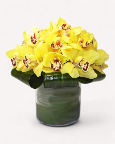 Blushing Orchids