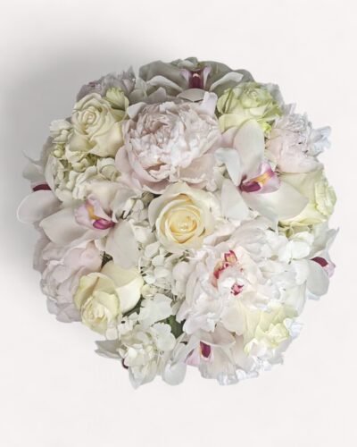 Ivory Spring - Image 2