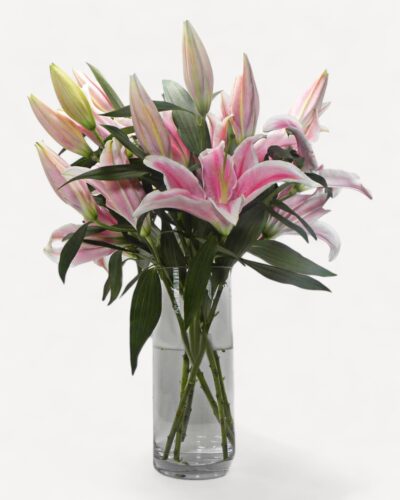 Simple Pink Lilies