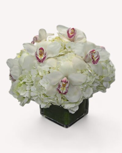 Pure Blossoms - Image 2