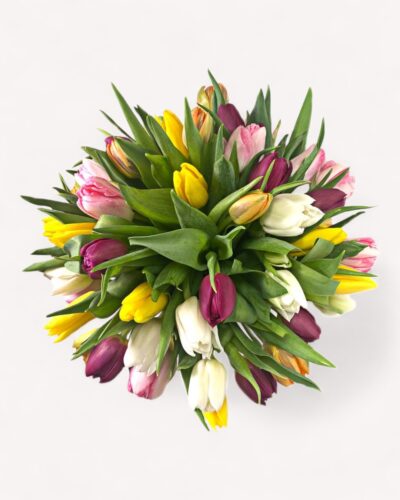 Rainbow Tulips - Image 2