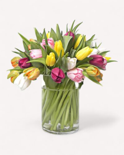 Rainbow Tulips