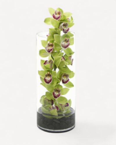 Orchids Rising - Image 4