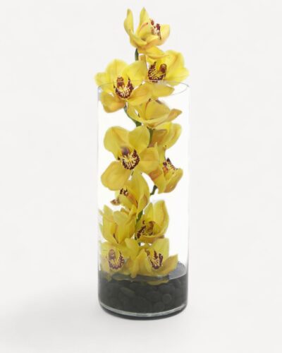 Orchids Rising - Image 2