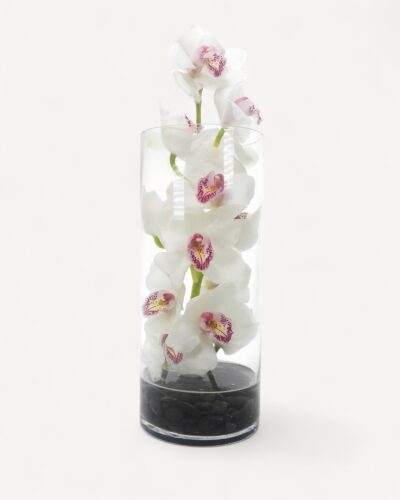 Orchids Rising - Image 3