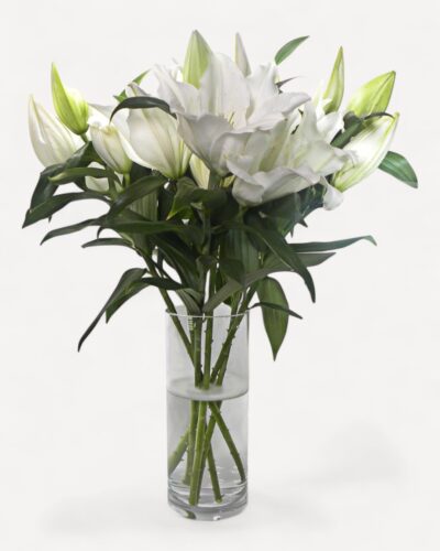 Simple White Lilies