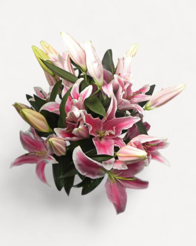 Simple Pink Lilies - Image 2
