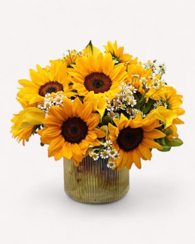 Bundle of Sun - Image 2