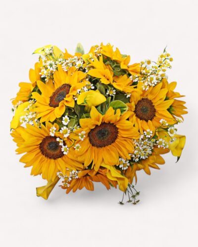 Bundle of Sun - Image 3