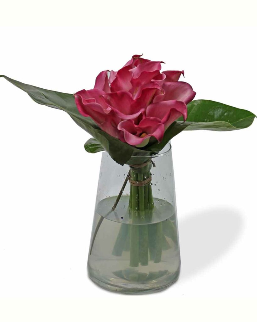 Pink Calla Class - Ariston Flowers and Boutique