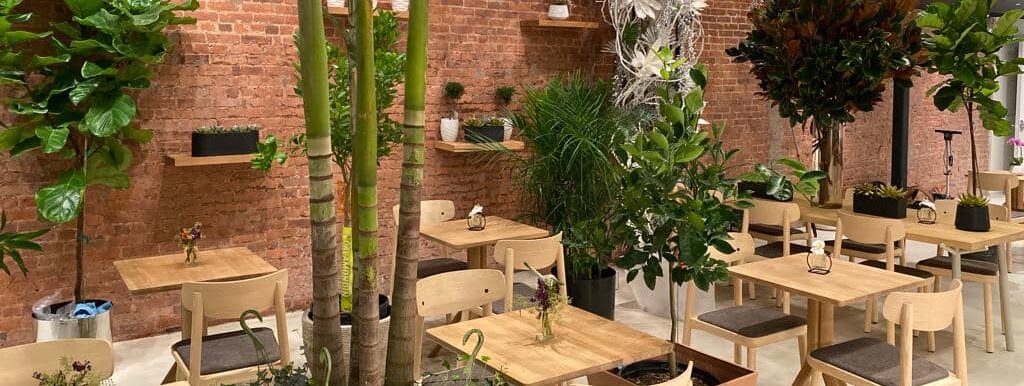 Ariston Flowers & Café has officially opened its doors and has become what can only be described as a blossoming paradise.