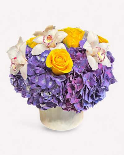 Delighted Purple