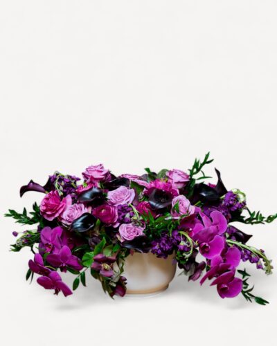 Royal Plum