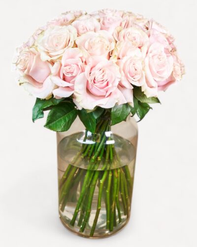 Blush Beauty