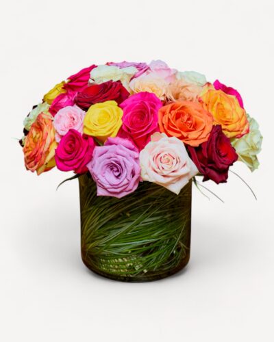 The Rose Rainbow