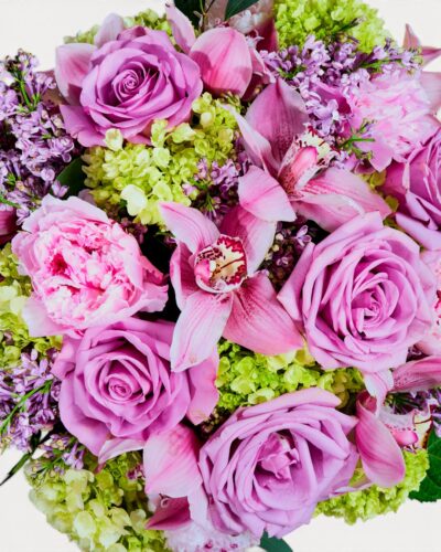 Delicate Love - Image 2