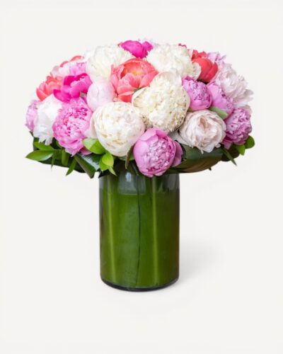 Shades of Peonies