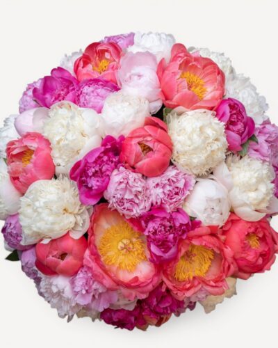 Shades of Peonies - Image 2