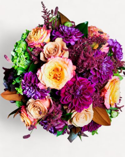 Violet Garden - Image 2