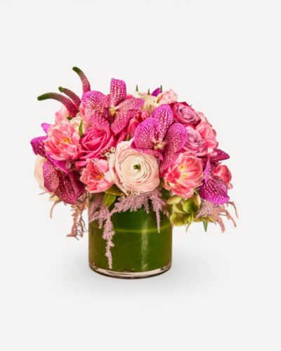 Pink Paradise - Image 2