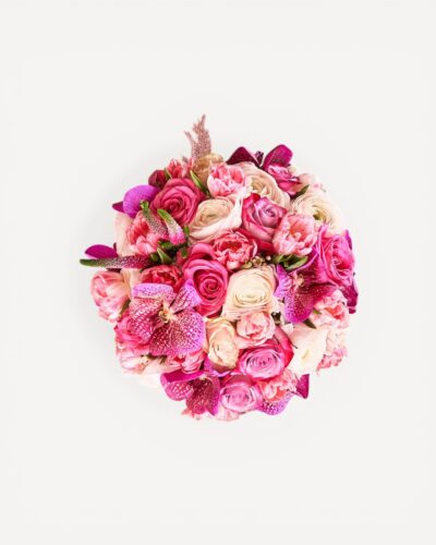 Pink Paradise - Image 3