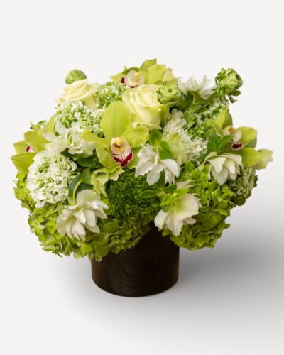 Evergreen Enchantment