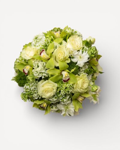 Evergreen Enchantment - Image 2