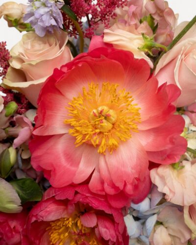Spring Serenade - Image 3