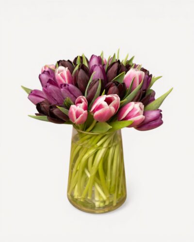 Vibrant Blooms
