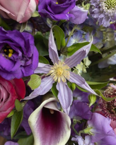 Springtime Essence - Image 3