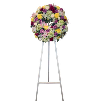 Sympathy-S101 - Image 2