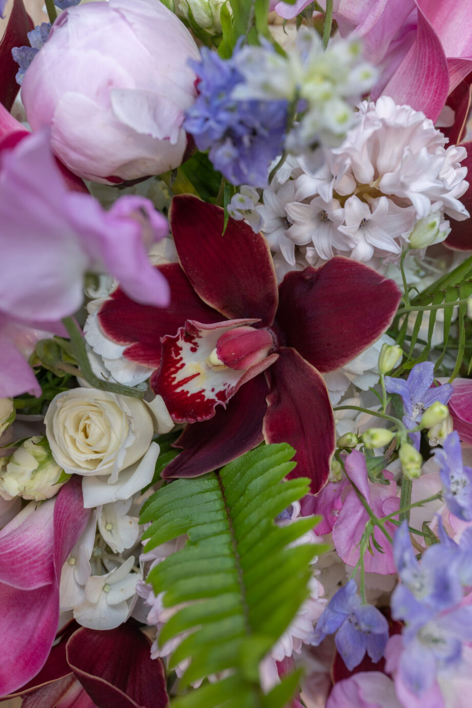 Petals of Gratitude