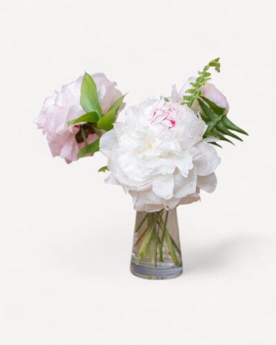 Peony Prelude - Image 5
