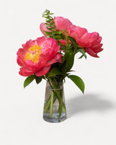 Peony Prelude - Image 4