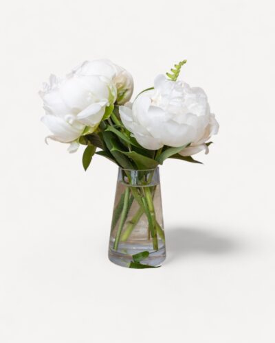 Peony Prelude - Image 3