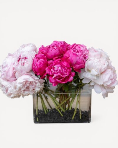 Peonies for Every Mood