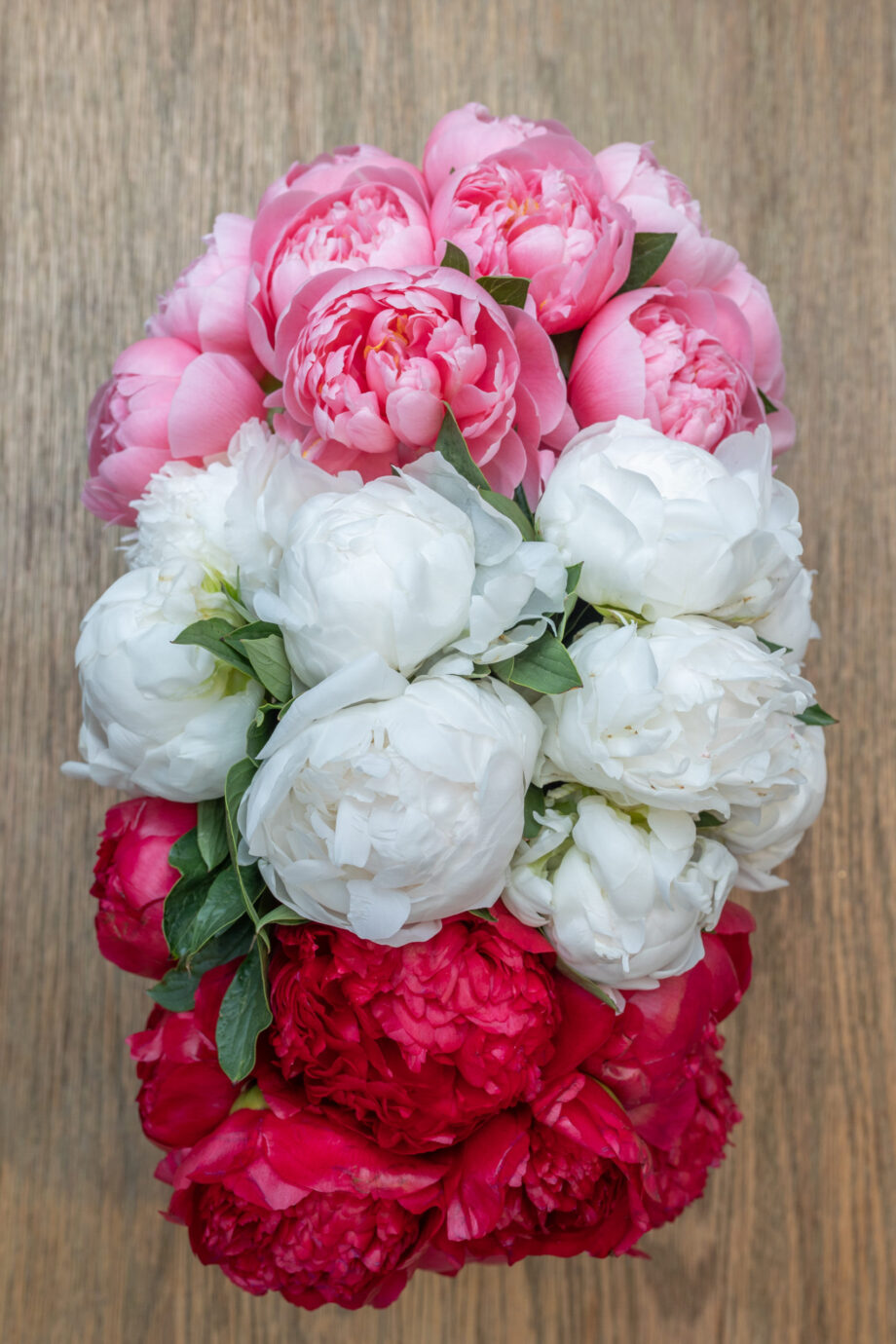 The Peony Bar