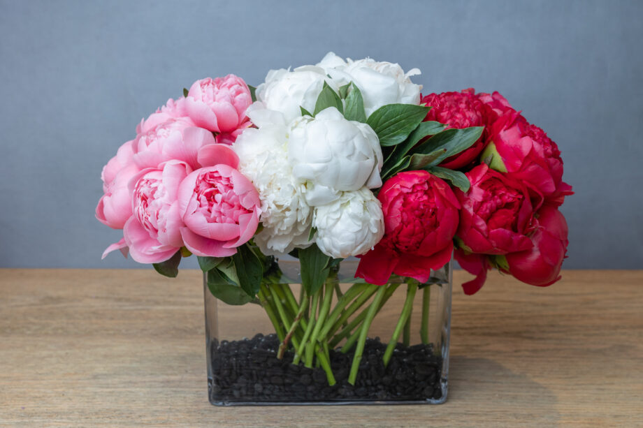 The Peony Bar