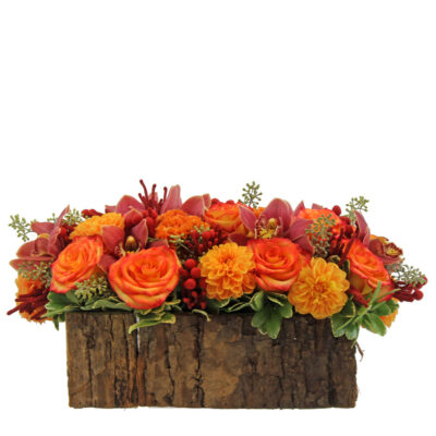 Orange Forest - Image 2