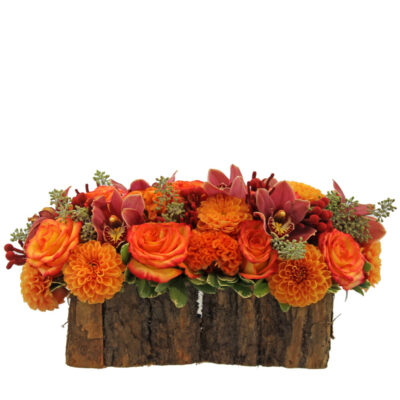 Orange Forest - Image 3