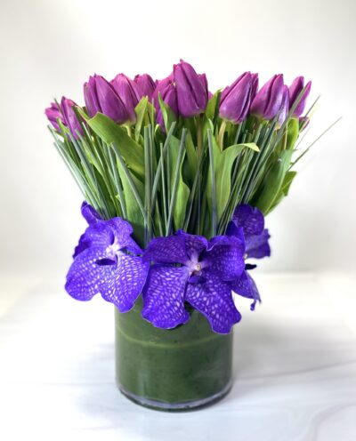 Classic Purple - Image 3