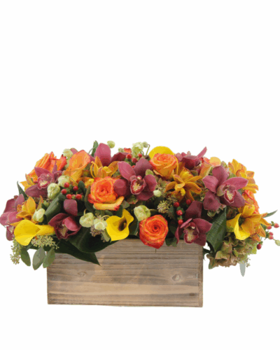 Giving Thanks - Image 2