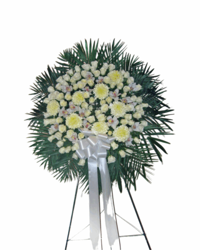 Sympathy-S111 - Image 2