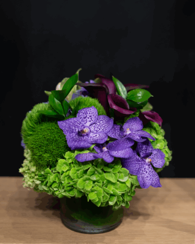 Heated Purples - Image 3