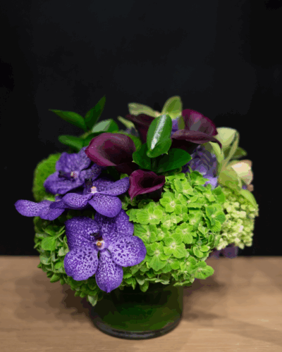 Heated Purples - Image 2