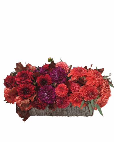 Dahlia Garden - Image 2