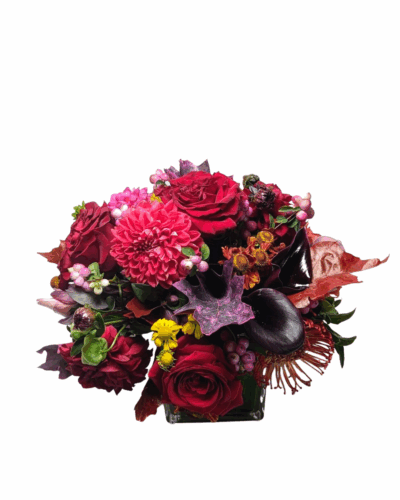 Maroon Jam - Image 2